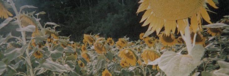 hesfondly28's profile banner image