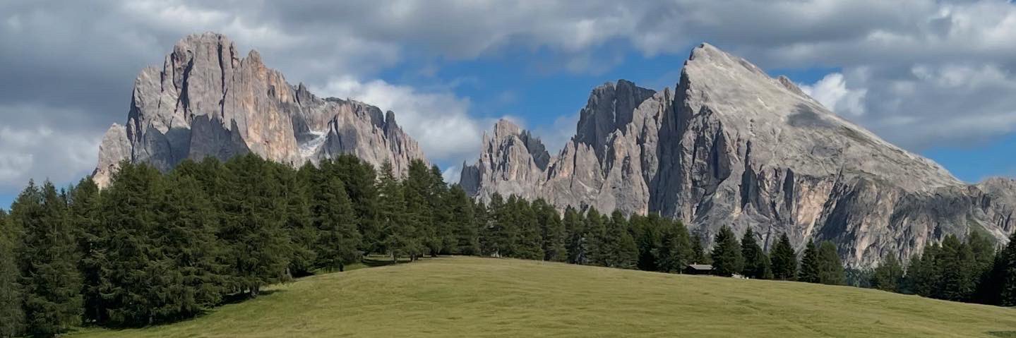jurimarini's profile banner image