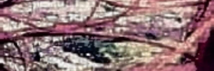 3lenaCallen's profile banner image