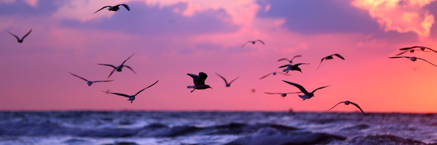 مها العتيبي banner