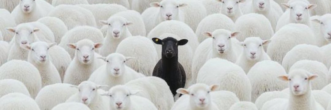 MUT À NGOSO 🌚🛶🇨🇲 banner