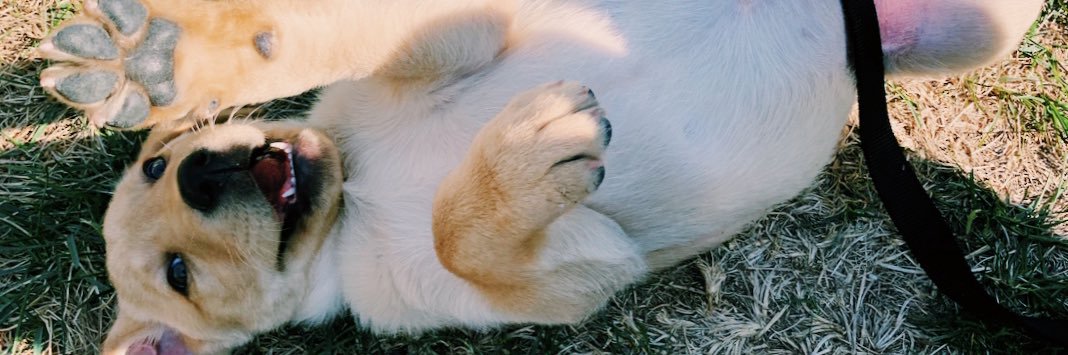 lynnaaa_'s profile banner image