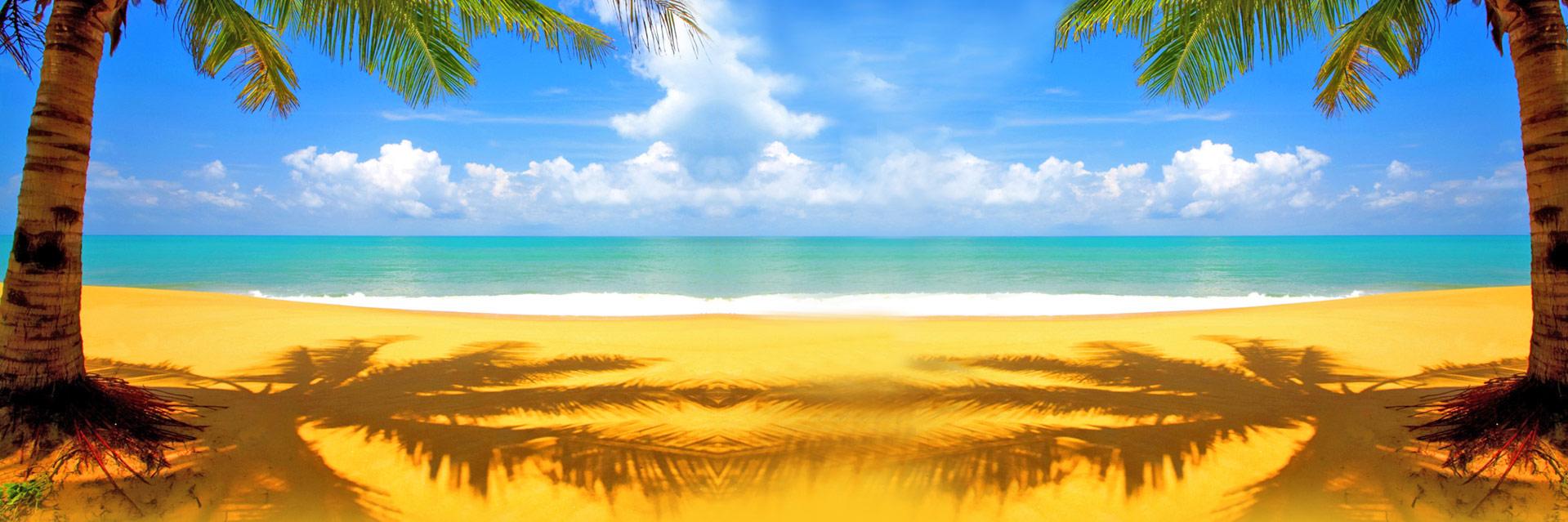 robertvenus's profile banner image
