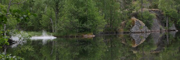 ForensicHelenT Profile Banner