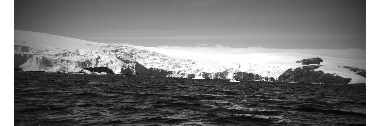 Andrea Pinones banner