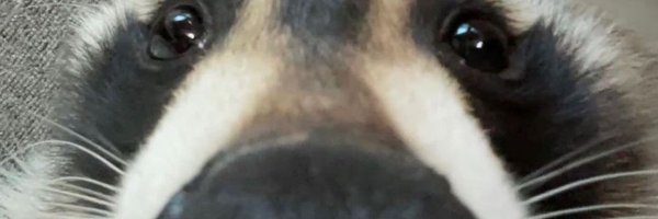 BeskyU Profile Banner