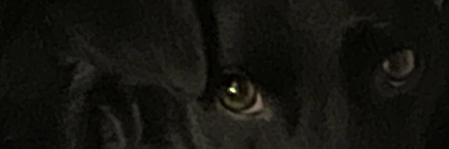millymotivates's profile banner image