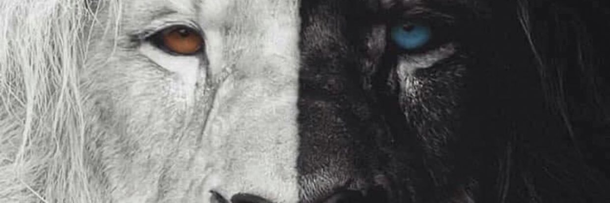 _FWB69's profile banner image