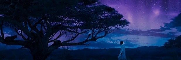 _dlandry's profile banner image