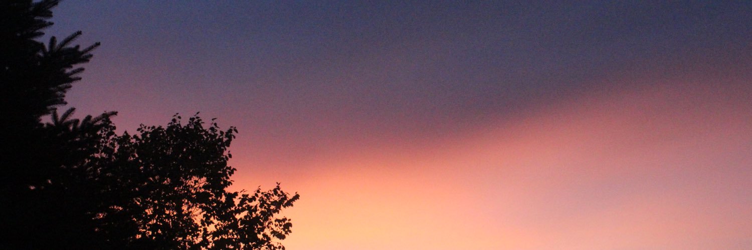 Alaina Staerkel banner