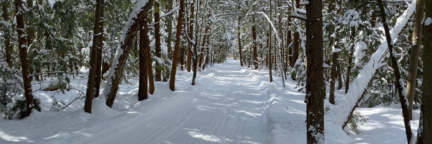 Pioneer SnoSurfers banner