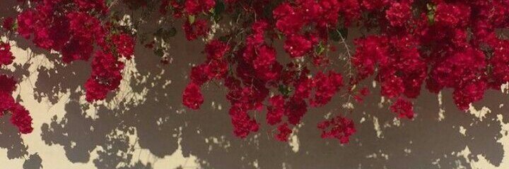 aprilblushxo's profile banner image