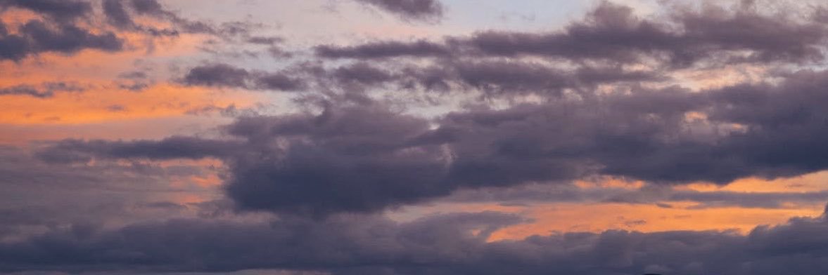 miyitoricojk's profile banner image