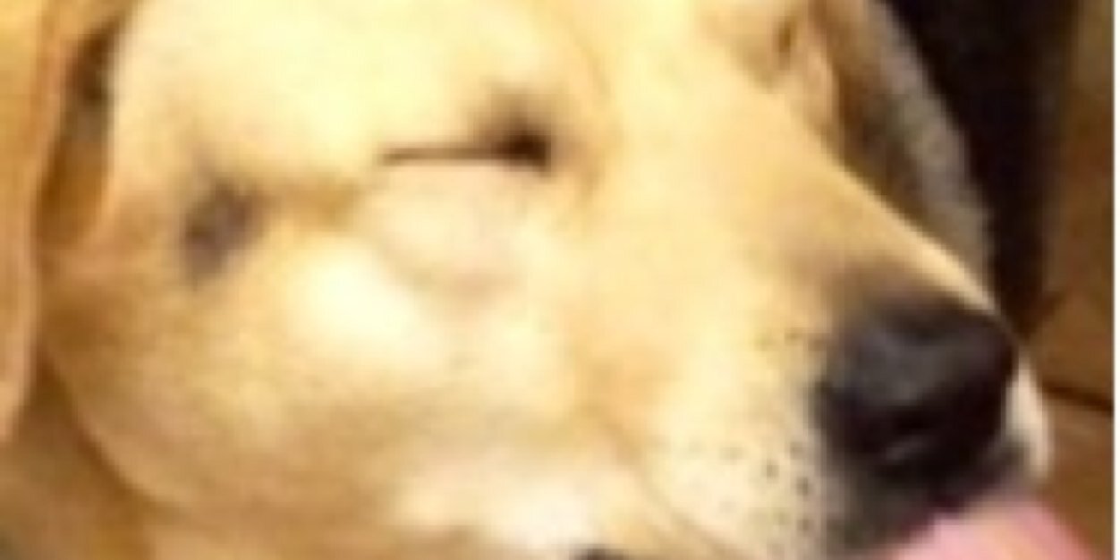 Bronson Stephens banner