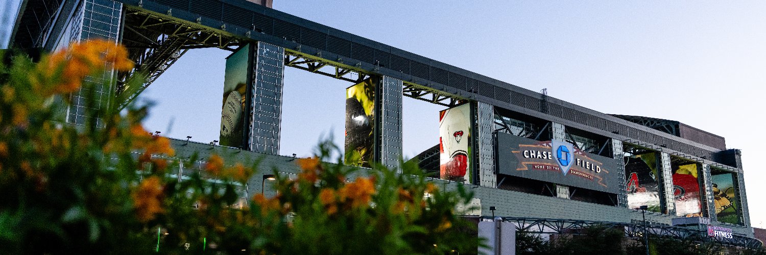 Chase Field banner