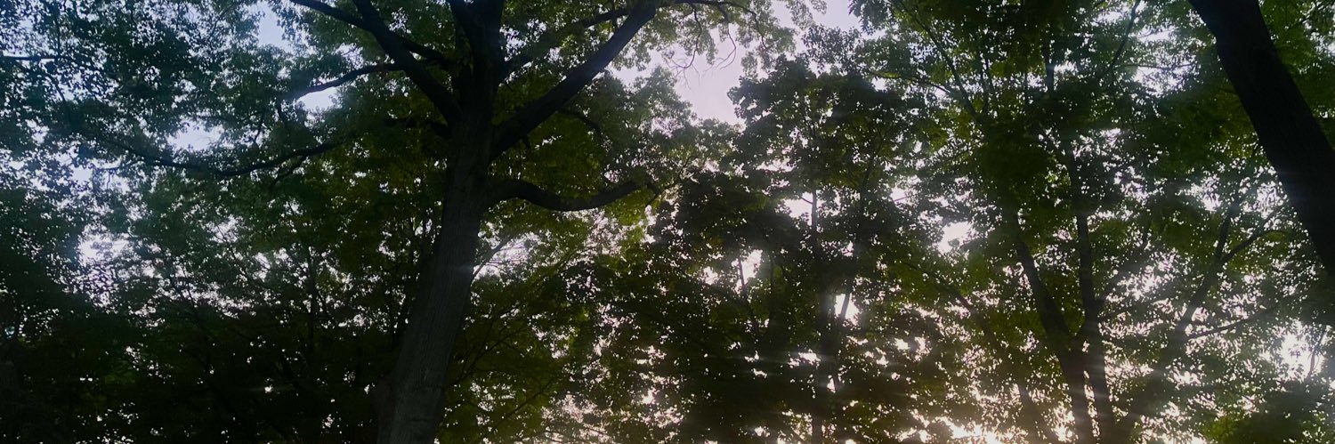sum_a_yy_a's profile banner image
