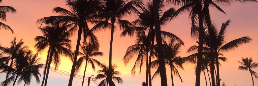 MichelleTinnion's profile banner image
