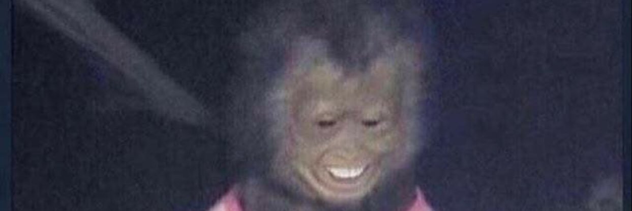 TrashvilleCEO🍃🔥🎮 banner