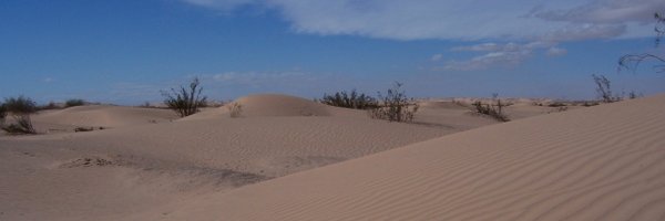 RobertLaport Profile Banner