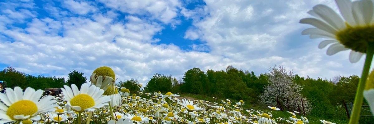 ElifffGizem's profile banner image