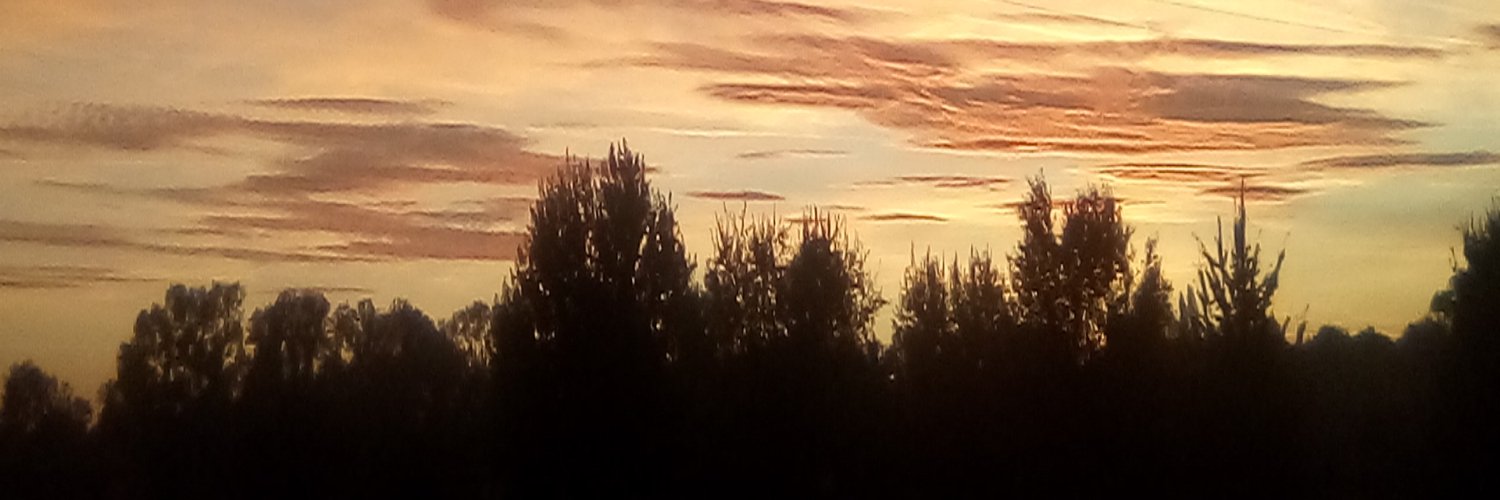 FRAUCASPER's profile banner image