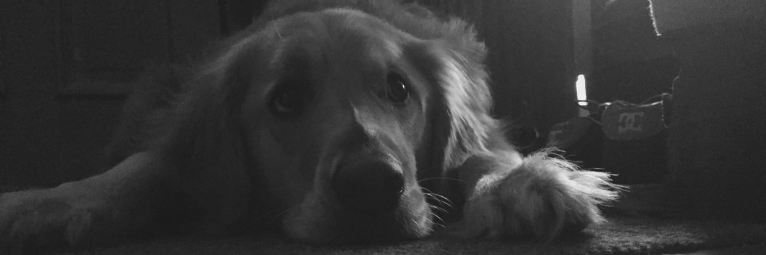 robert_bossert's profile banner image