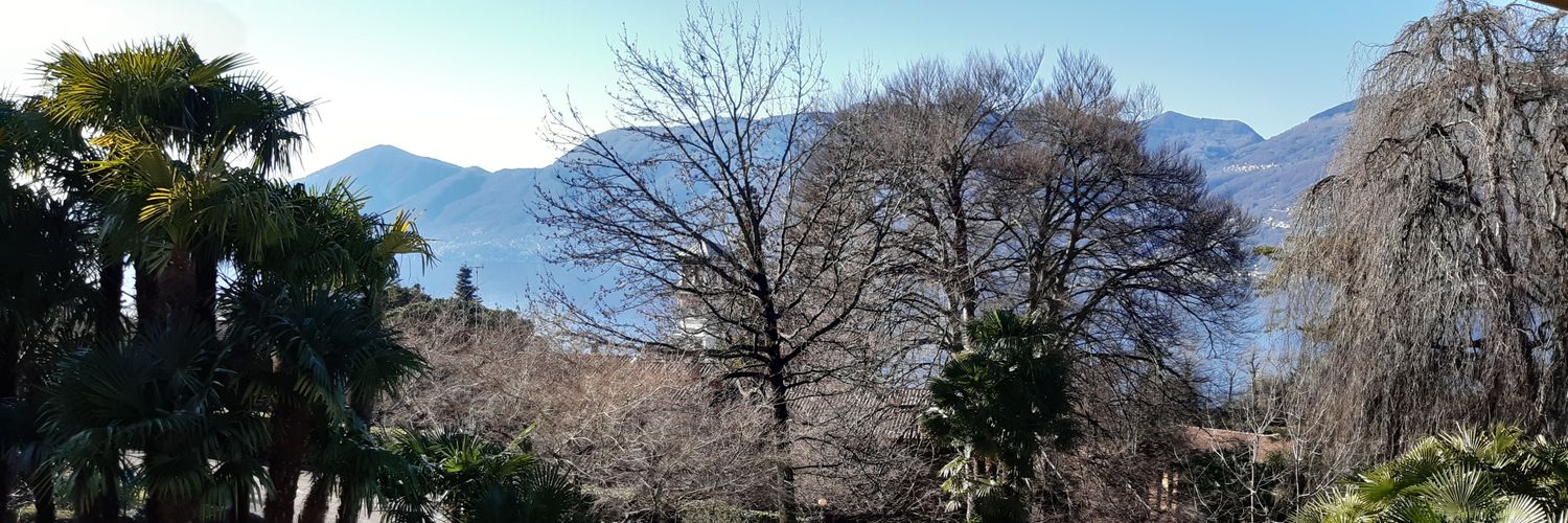 AleFranzetti's profile banner image