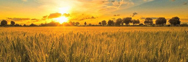 Fields_ow Profile Banner