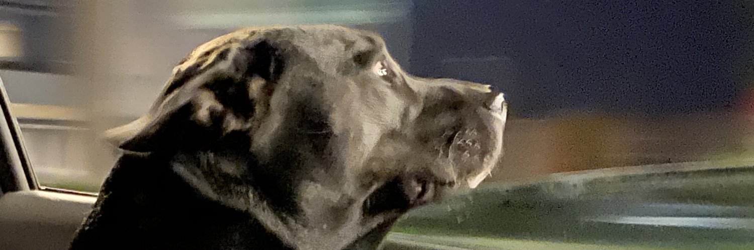 ProfTrees's profile banner image
