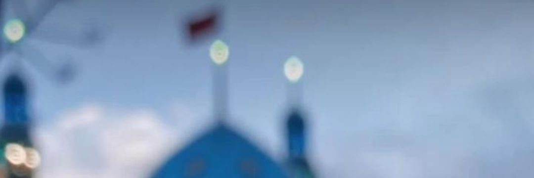 🦚 L@Y@L 🦚 banner
