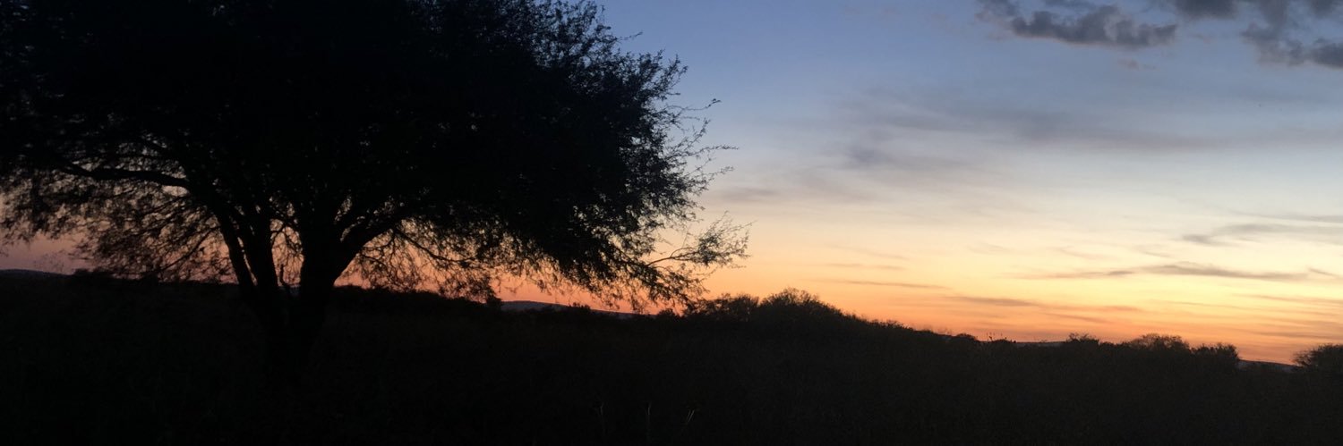 maynn18's profile banner image