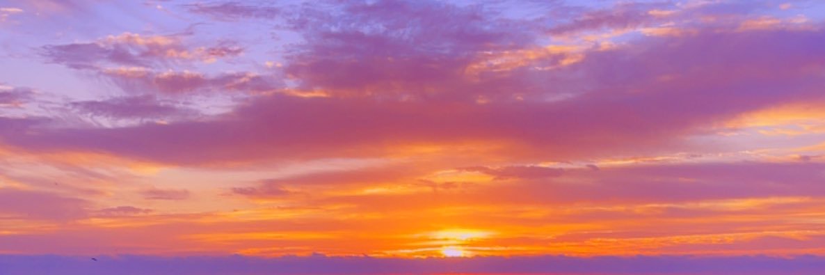 thamfnbossss's profile banner image