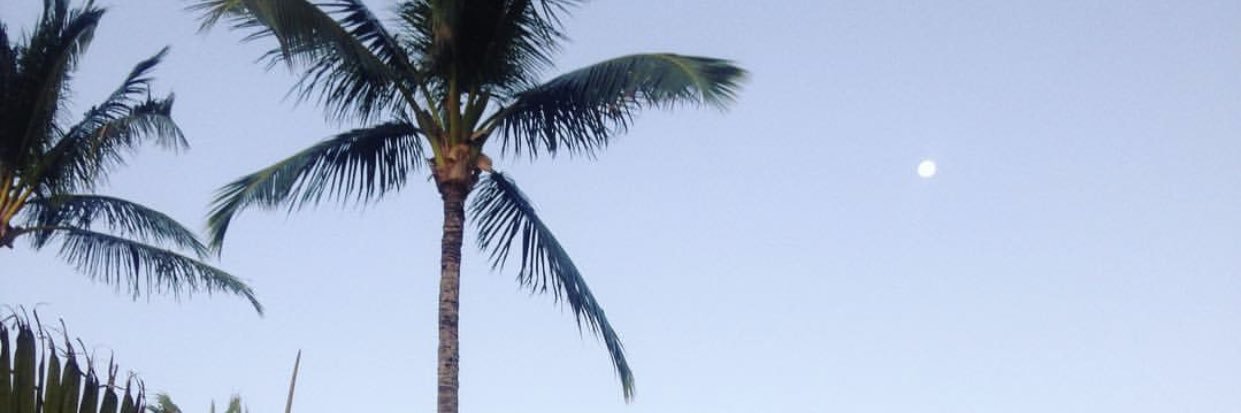 jojolickley's profile banner image