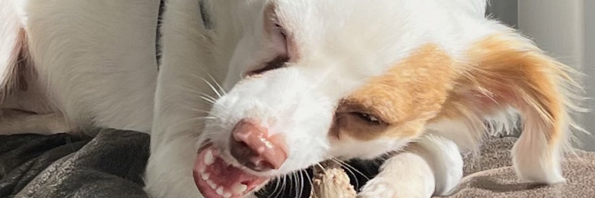 DailyUs's profile banner image