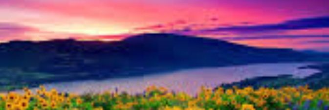 Carla Anderson banner