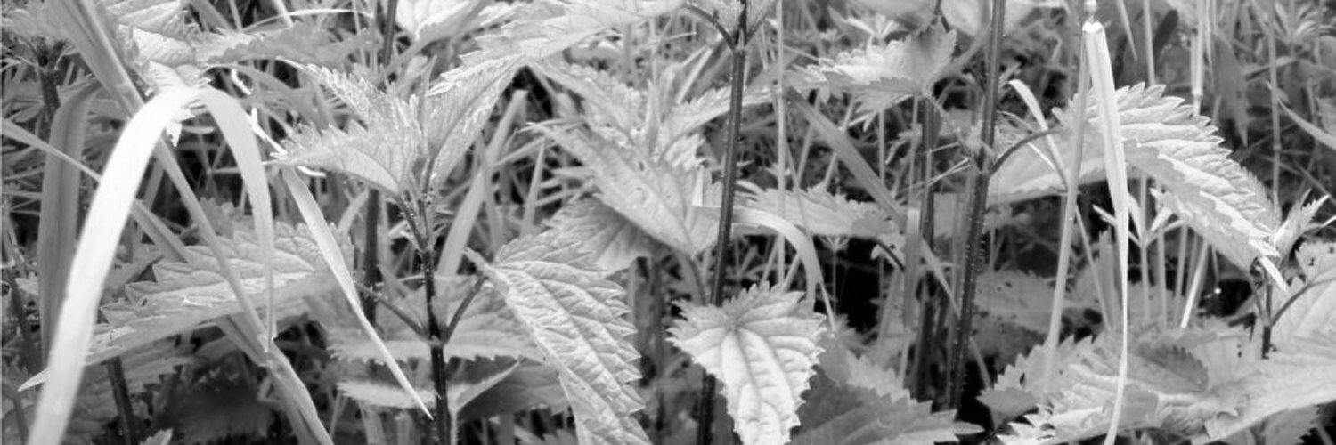 Philippe Paupert banner