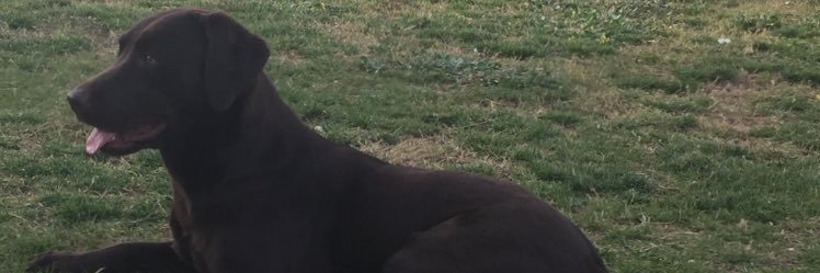 JavierNerja87's profile banner image