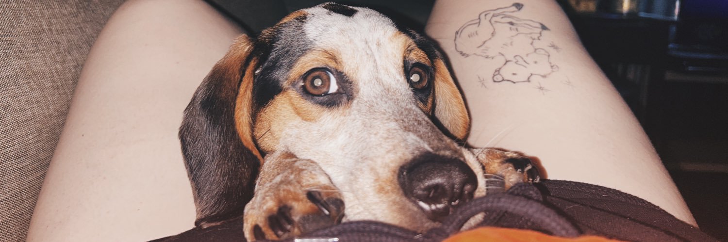 melissa_raeeee's profile banner image