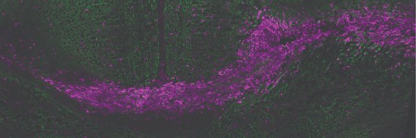 dolanmjg Profile Banner
