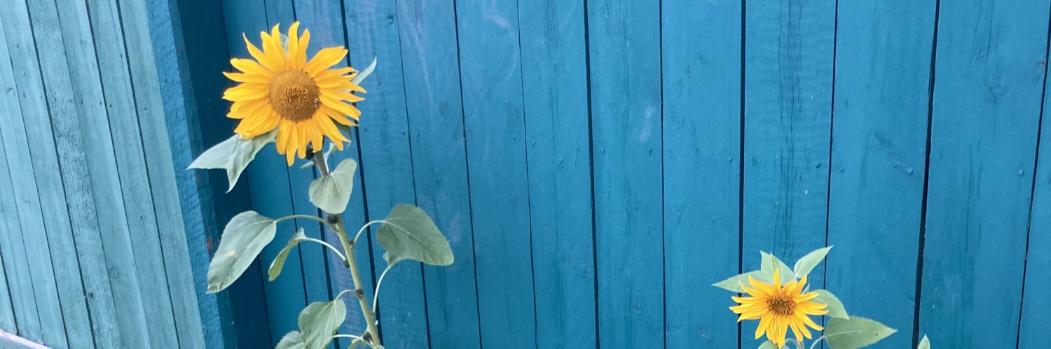 natalie_macd's profile banner image