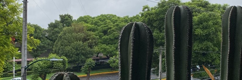 JexoNo's profile banner image