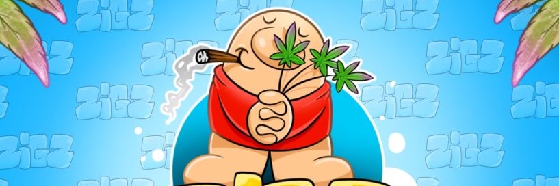 zigz banner