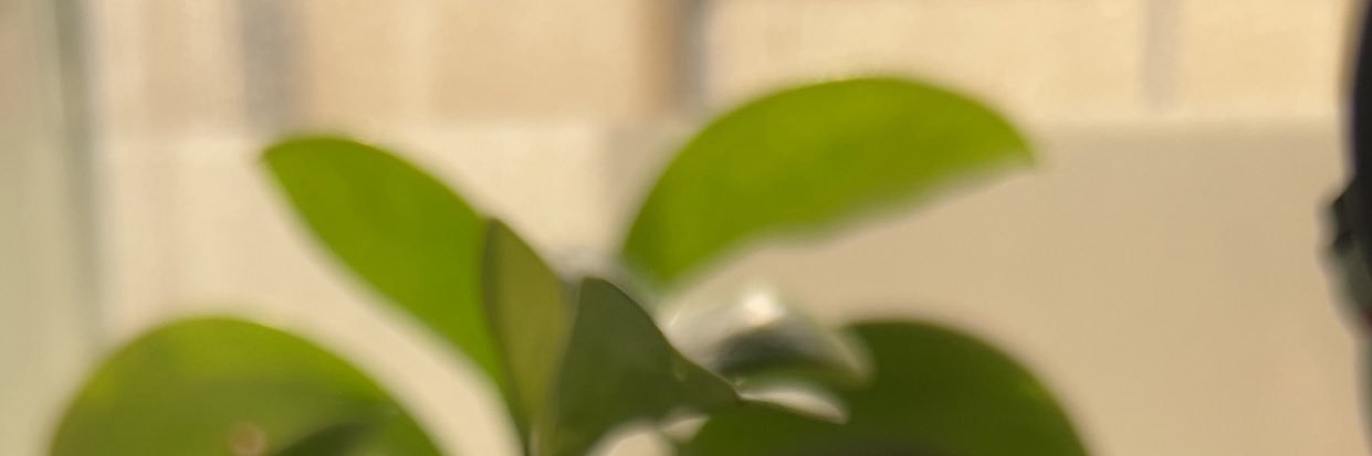 Rahaf_zaid's profile banner image