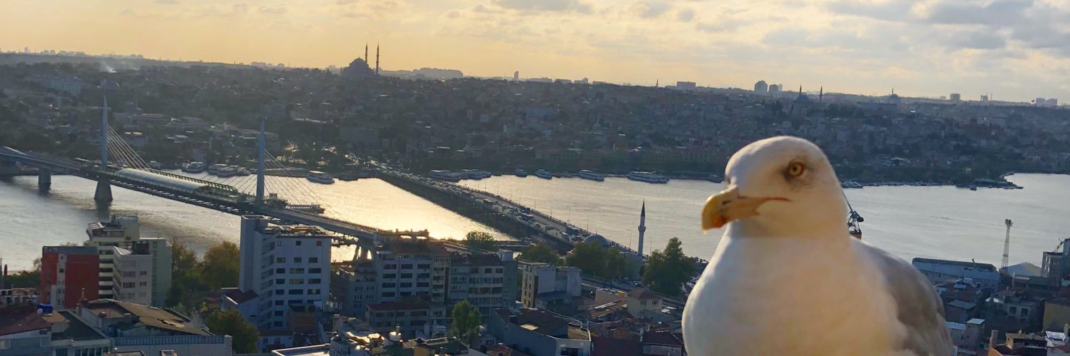 doluysmn's profile banner image