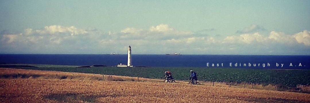 Aysenur_Altan_ banner