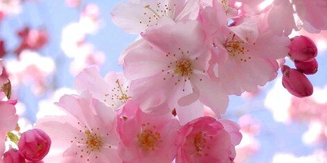 miryam_94's profile banner image