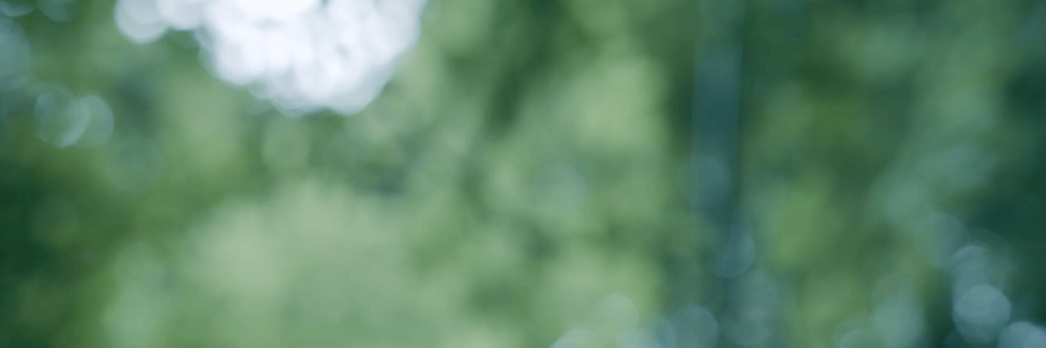gersonik01's profile banner image
