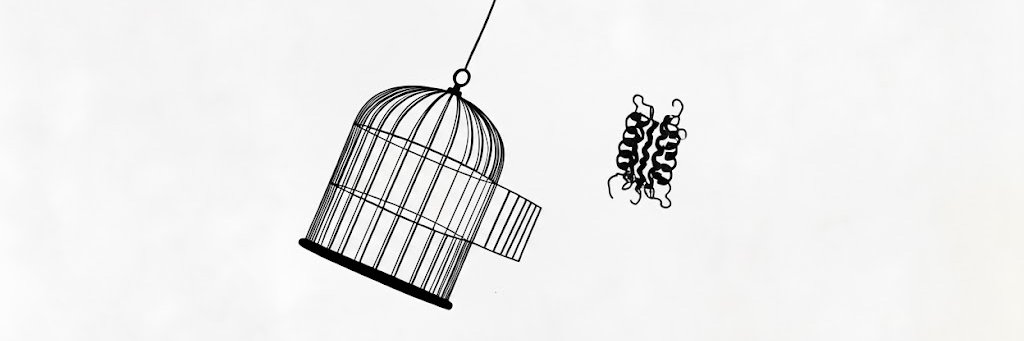 Aidan Tinafar • cell-free.com banner