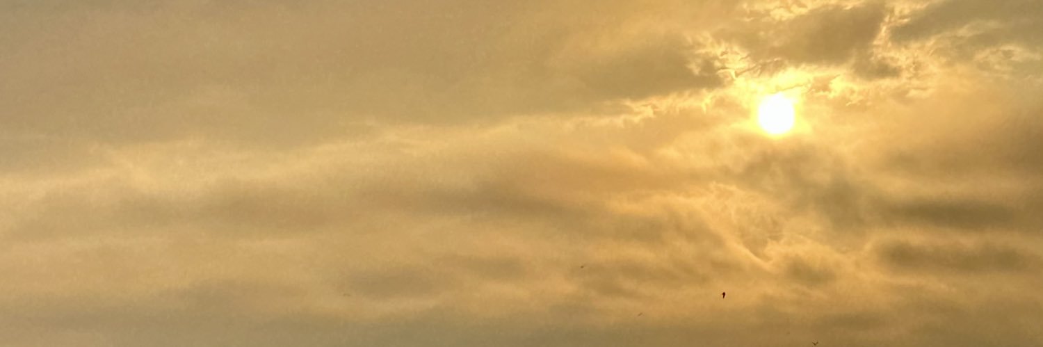 CoachML10's profile banner image