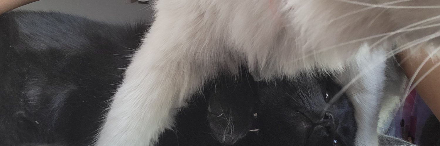 nataliakinsky's profile banner image